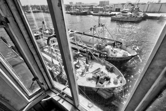 Erkerfoto-2-D--20785 6 7Vibrant2-bw.jpg