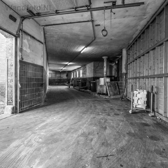 Benedengangfoto-0-V--11853 4 5Monochrome3-bw.jpg