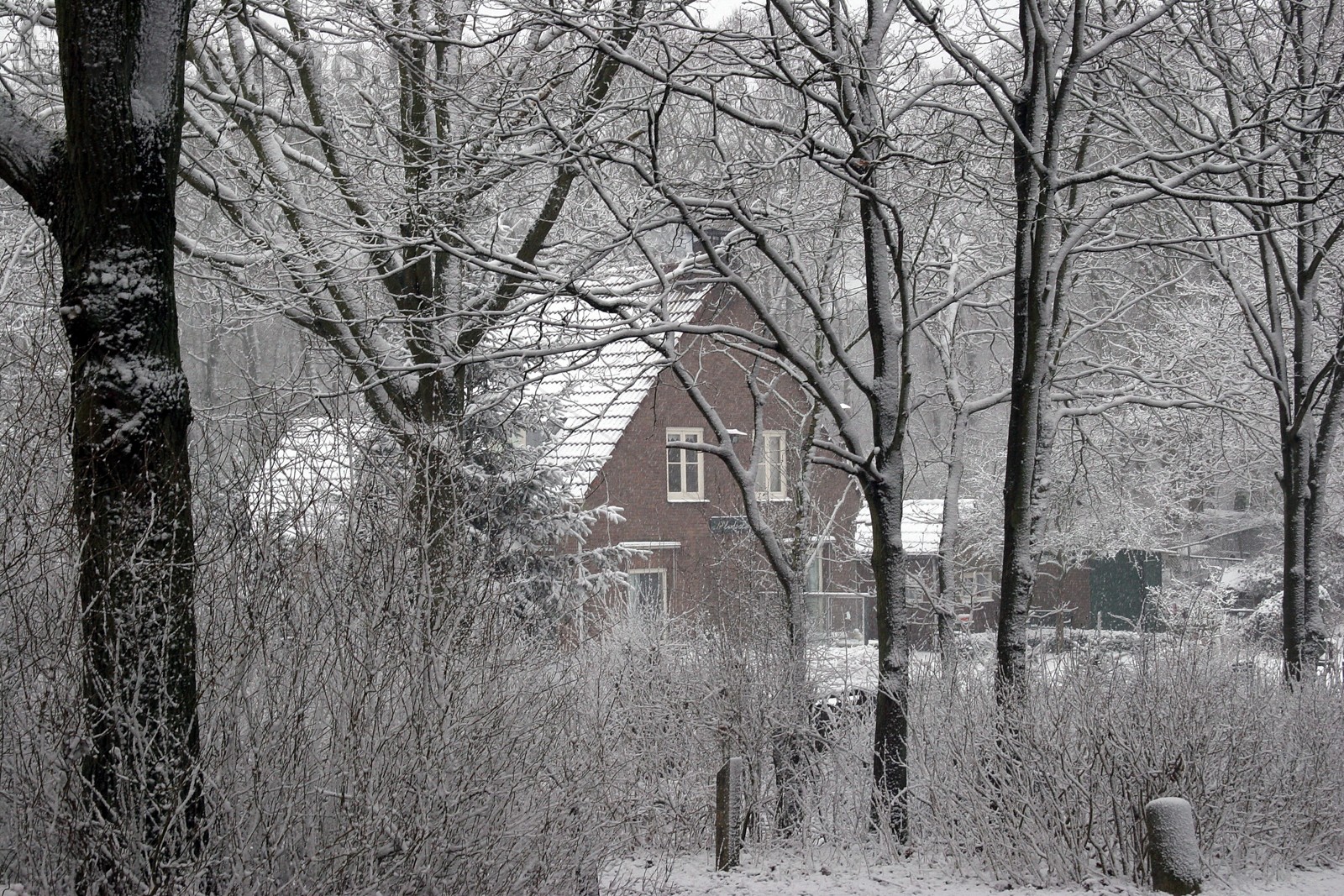 Sneeuw
