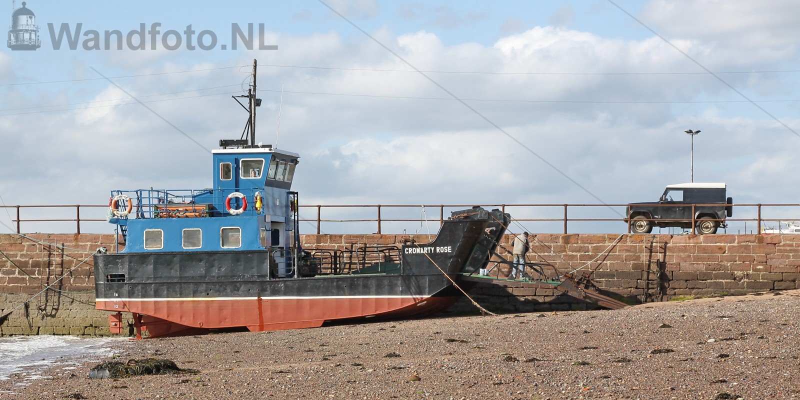 De Cromarty Rose in 2009