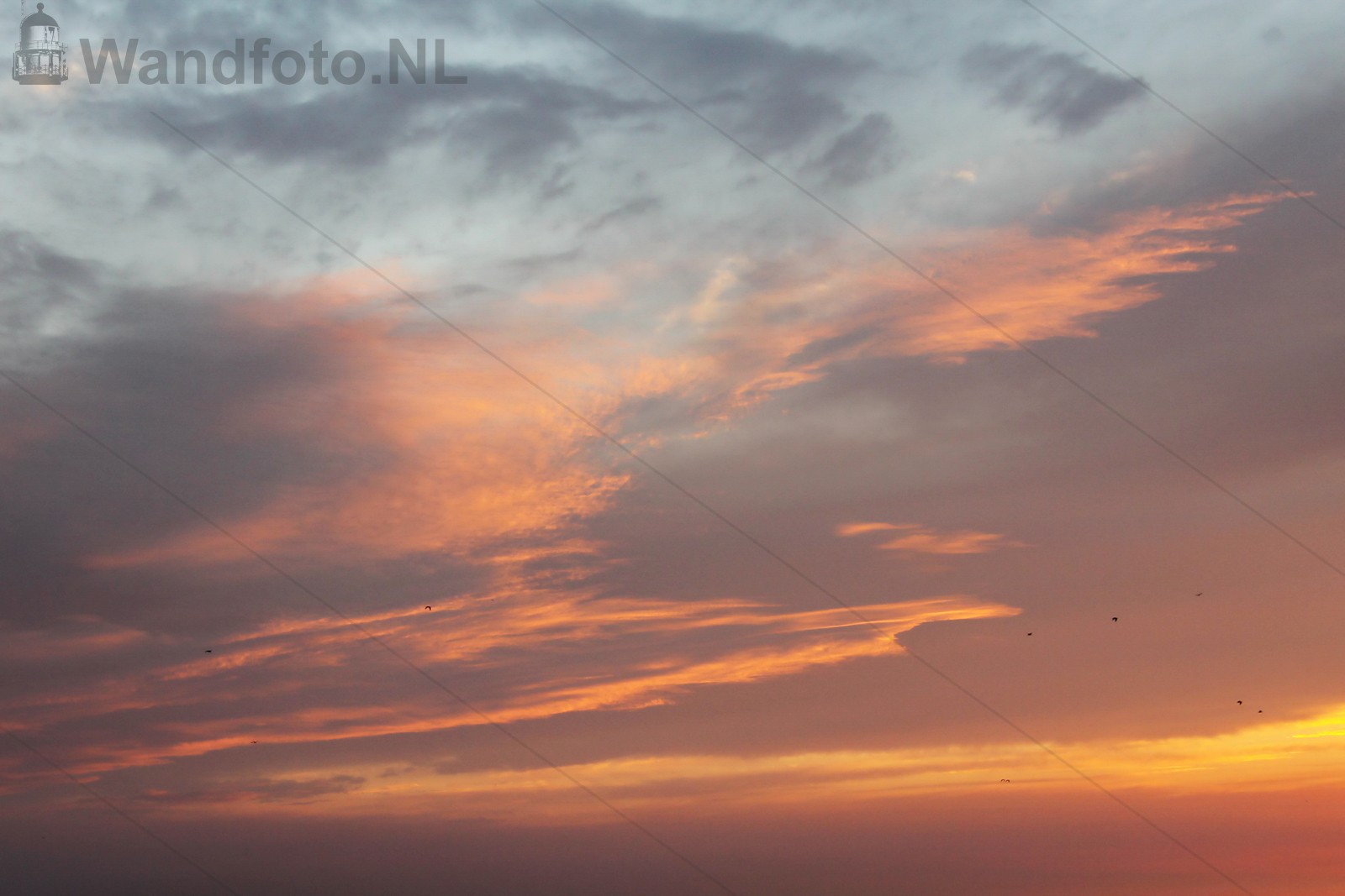 Zonsondergang Semafoorduin