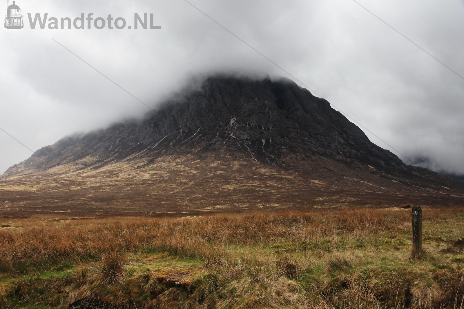 Berg