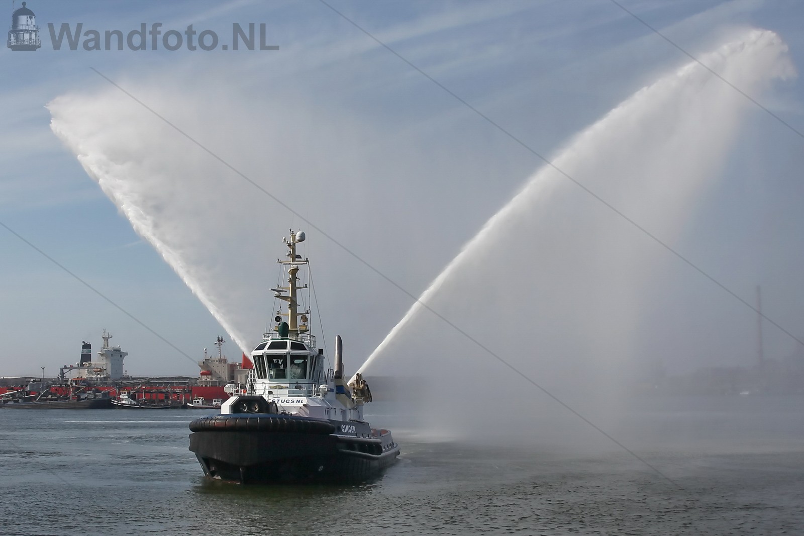 Verlenging Koniklijke status aan de KVSA
