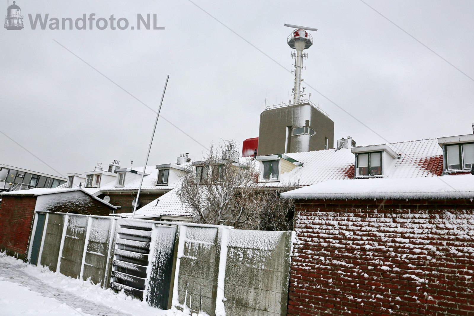 Sneeuw