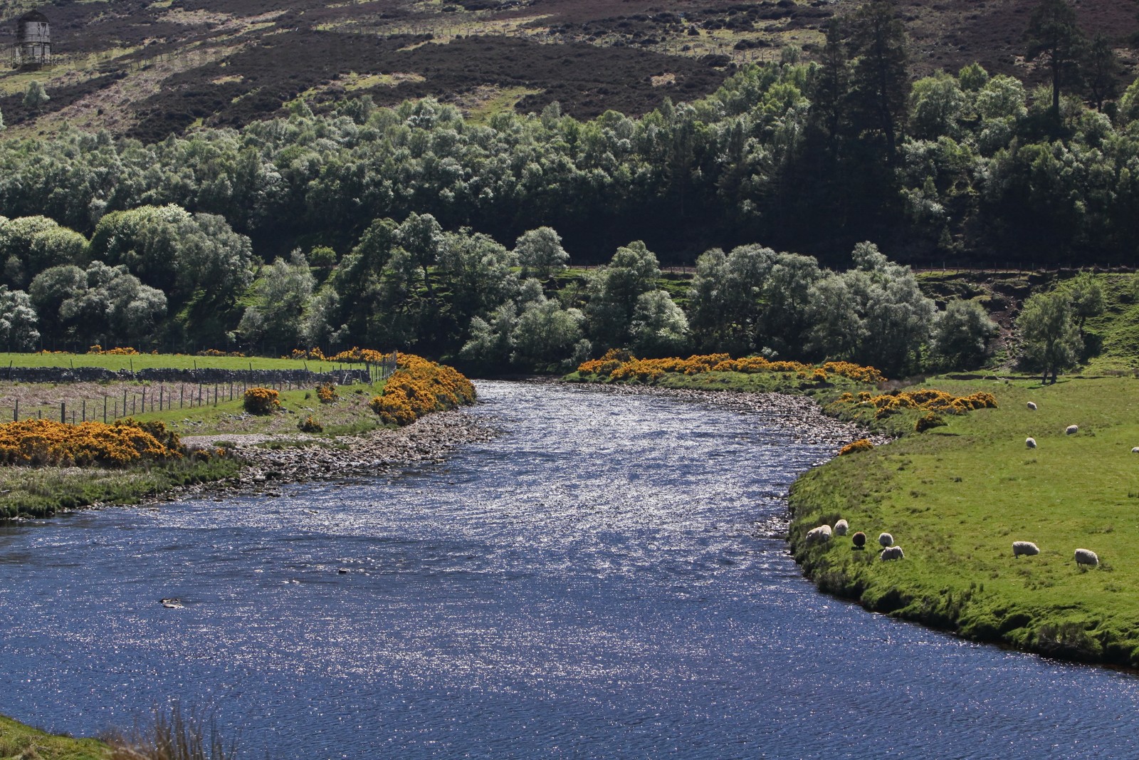 Kilournan