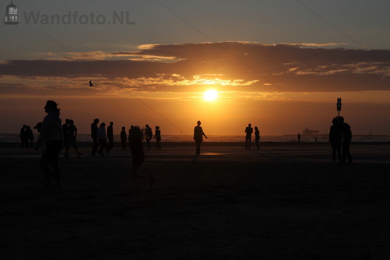 Turn up the Beach Grote Strand