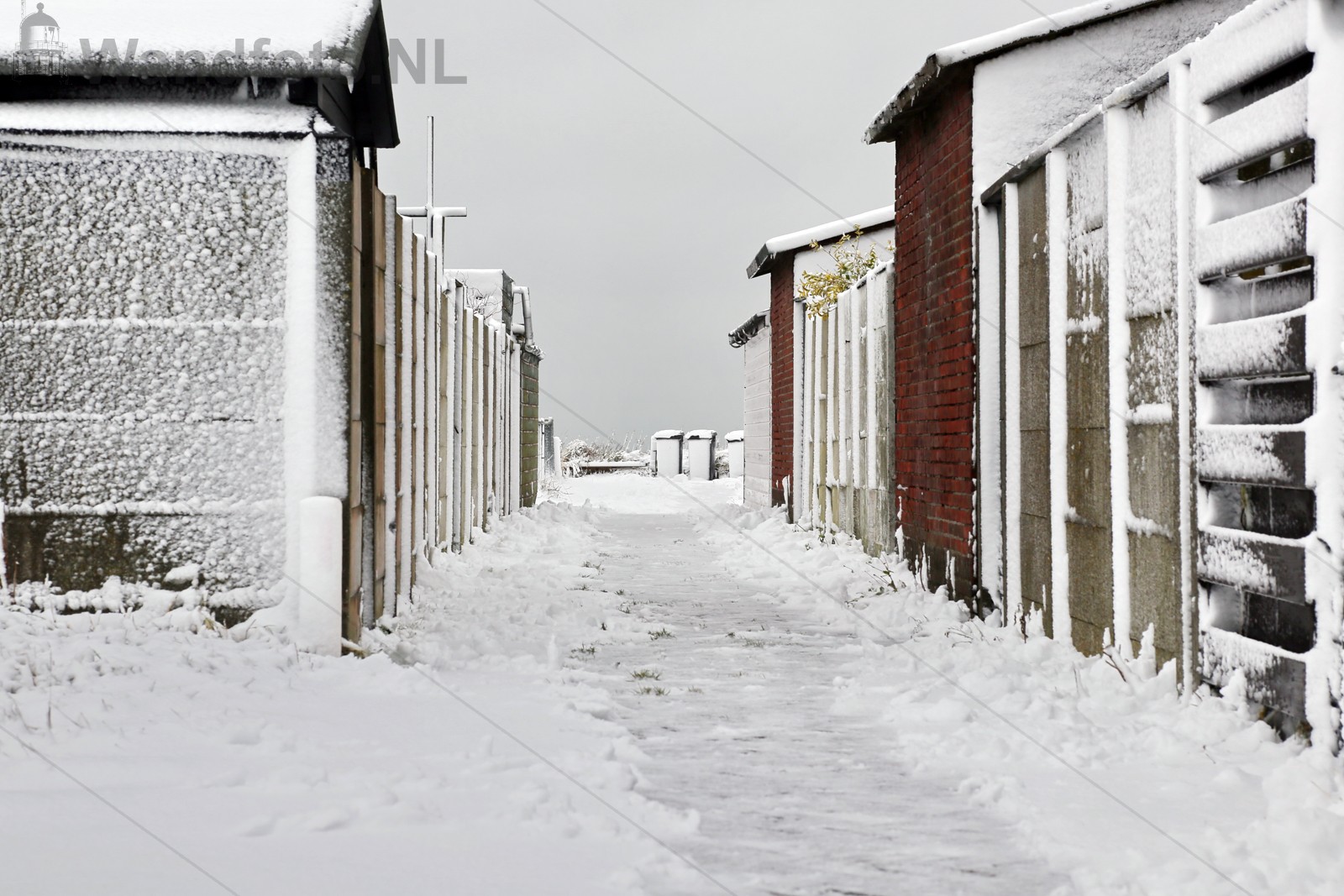 Sneeuw