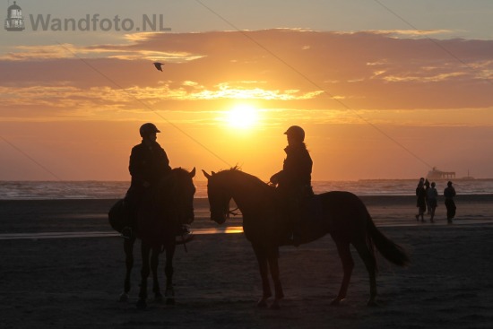 Turn up the Beach Grote Strand