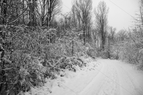 Sneeuw