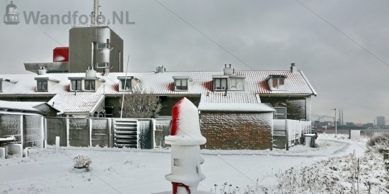 Sneeuw