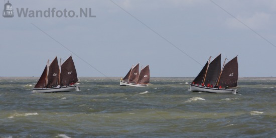 Bataviahaven/Markermeer, Lelystad
Zomerkamp Zeekadetkorps Ne