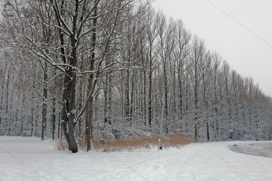 Sneeuw