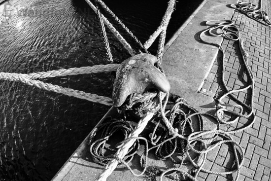 Mooring #001