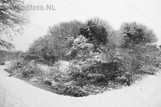 Sneeuw