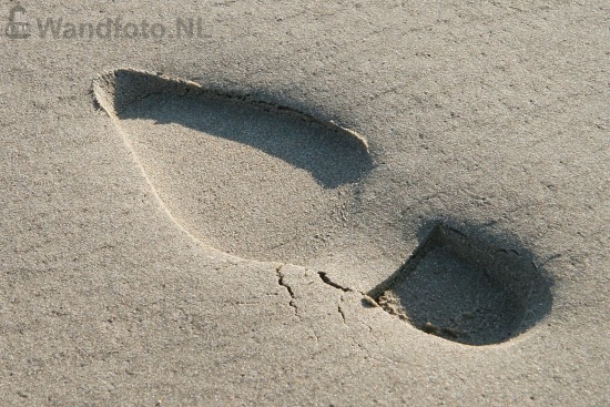 Scherp