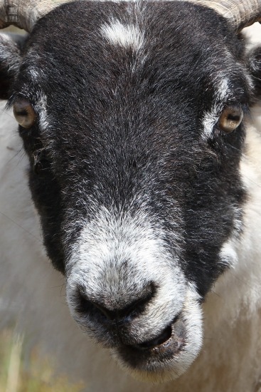 Kilmelford