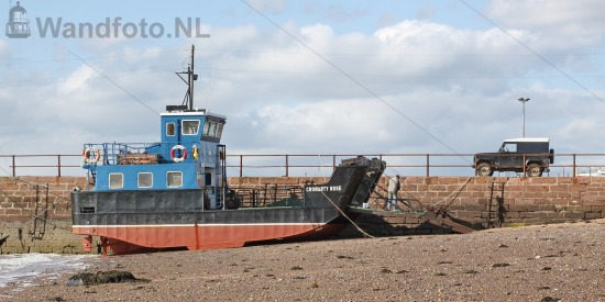 De Cromarty Rose in 2009