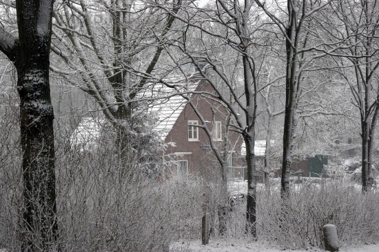 Sneeuw