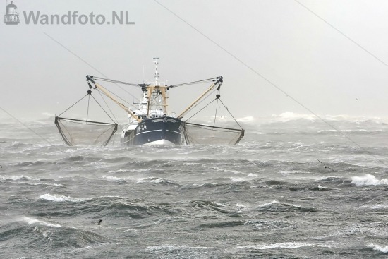 Viskotter KW-34 komt met storm de haven binnen