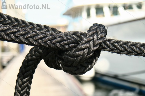 Knoop