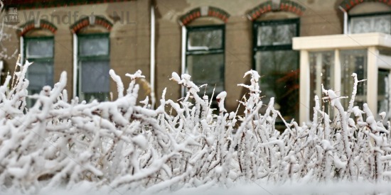 Sneeuw
