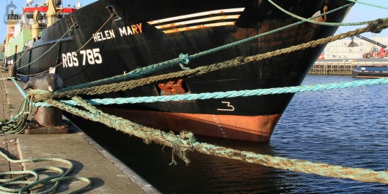 Mooring #003