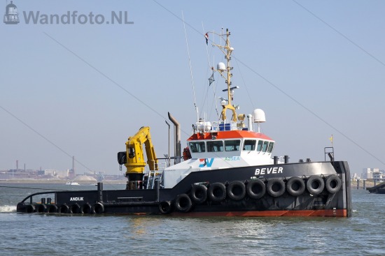 Sea Jack komt binnen samen met de Bever