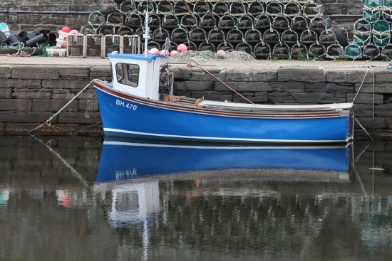 Haven