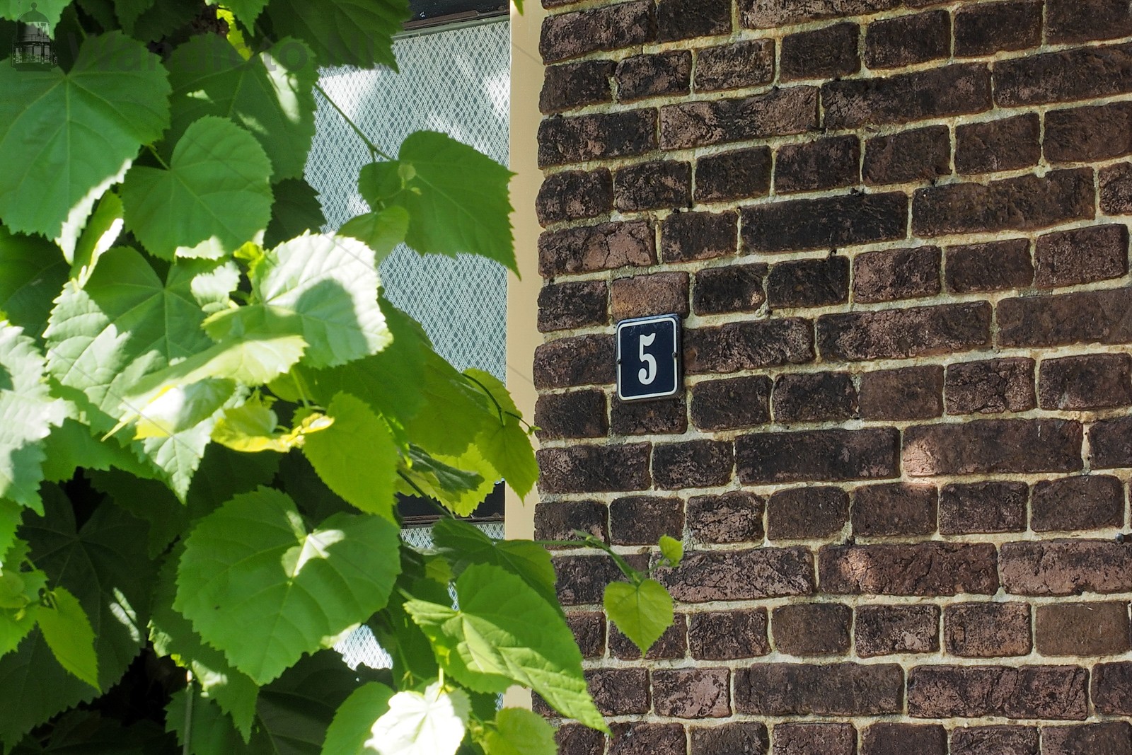 Woning