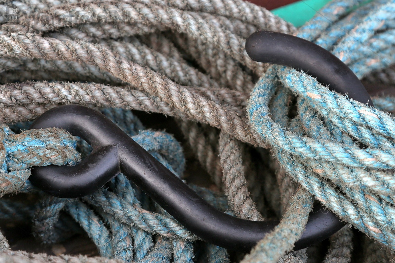 Mooring #020
