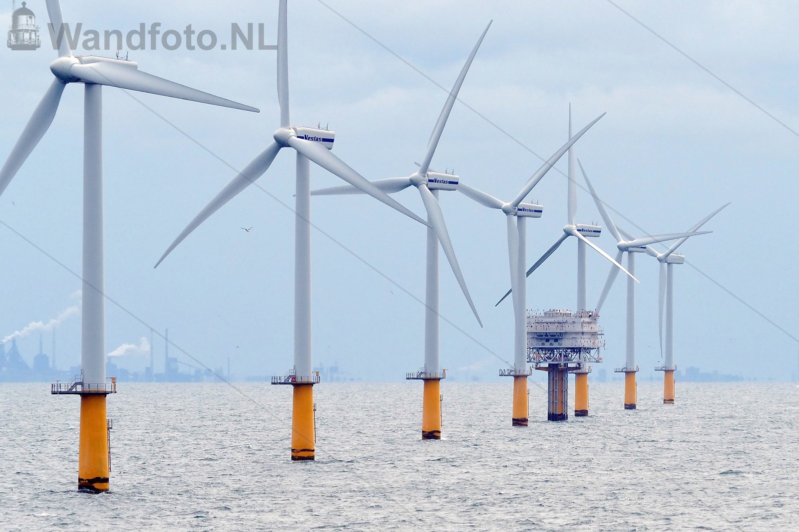 Noordzee | Kvl 150816 1227280w.jpg |