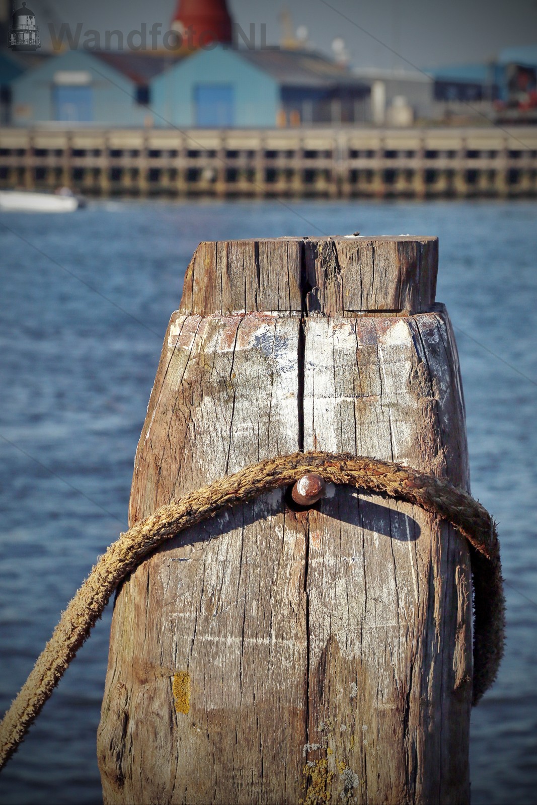 Mooring #052