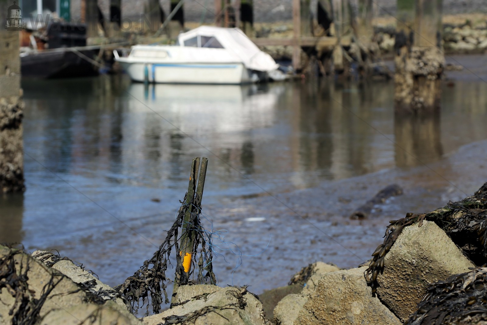 VissershavenLaag water in de Volendamse Hoek