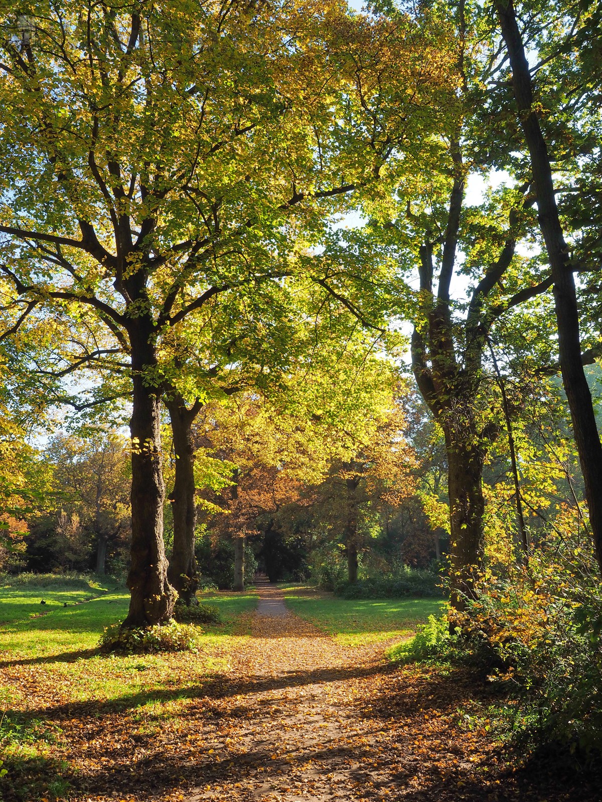 Herfst