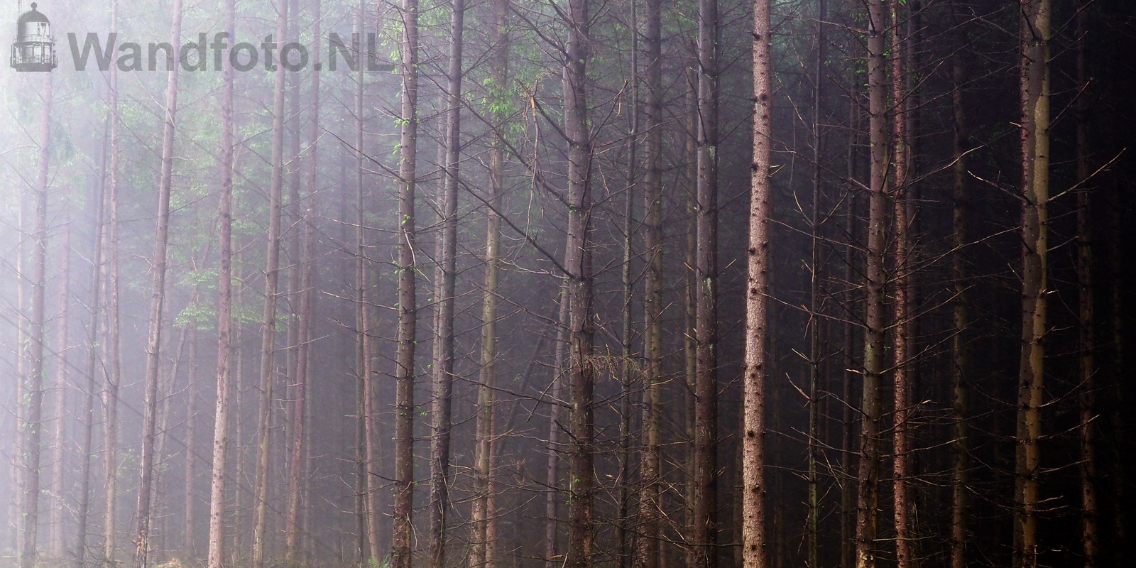 Mist