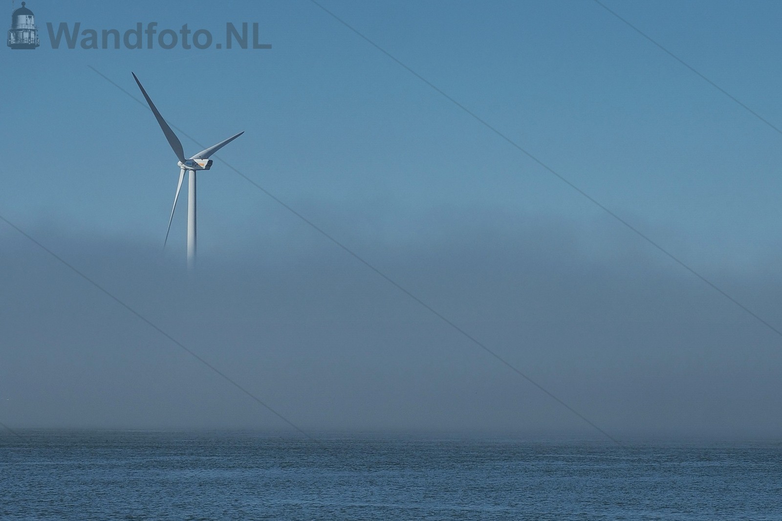 04-04-2017 - Zeevlam in