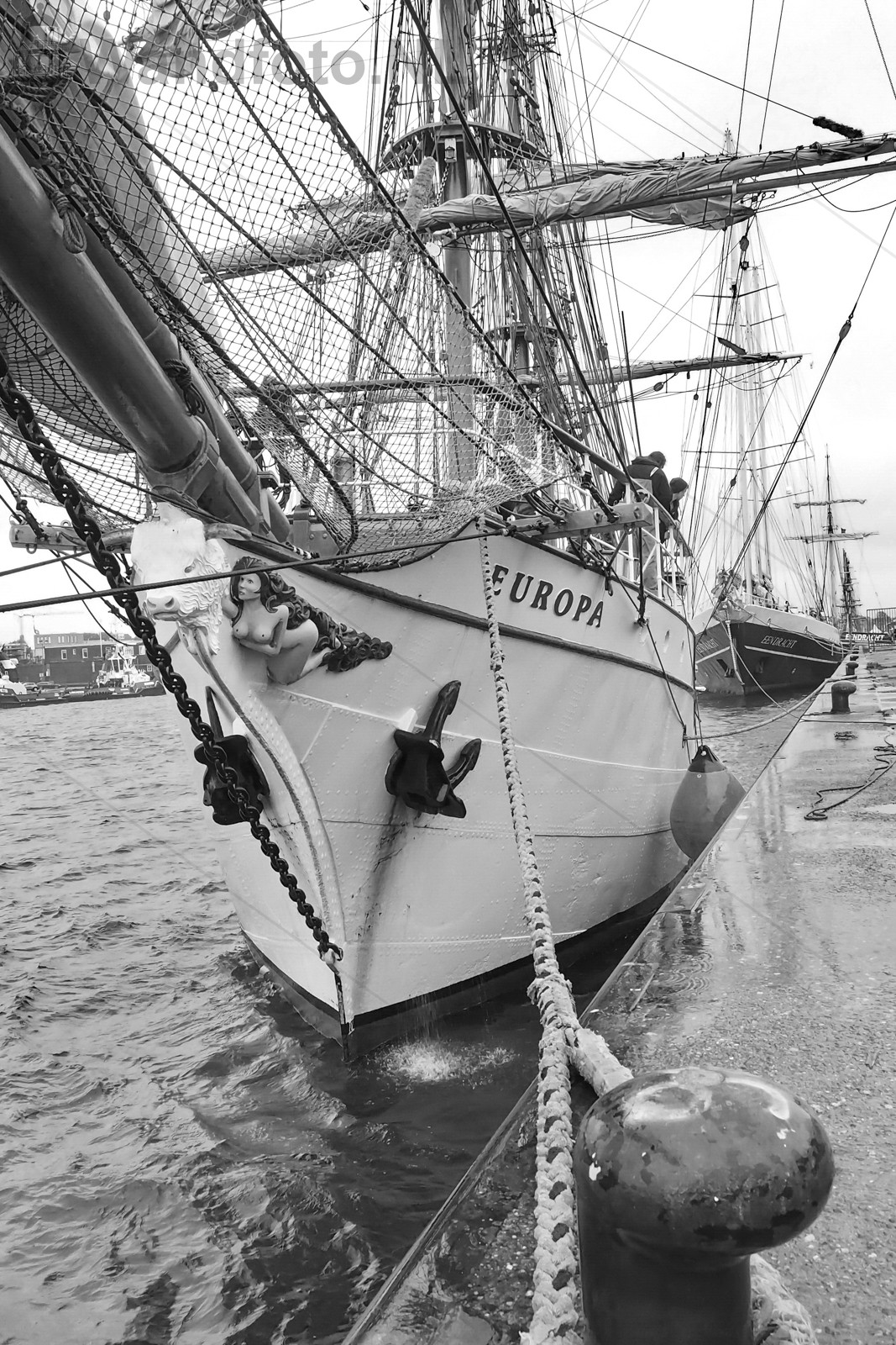 Bark Europa Presail IJmond 2015