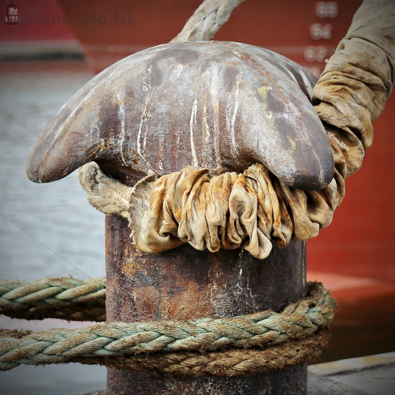 Mooring #036