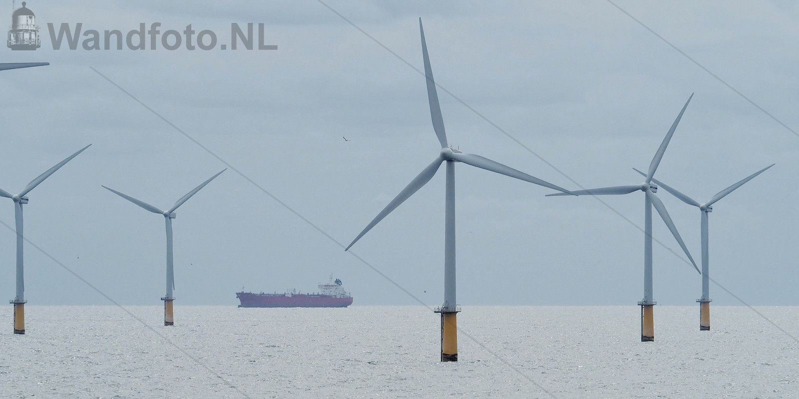Noordzee | Kvl 150816 1231240 01w.jpg |