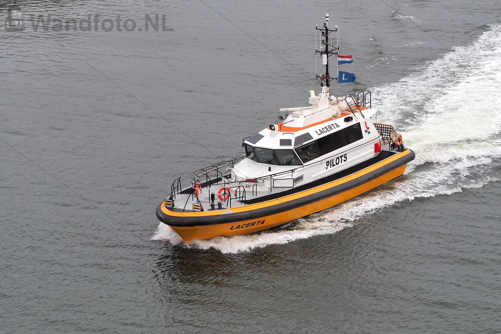 Buitenhaven | PreSail IJmond |