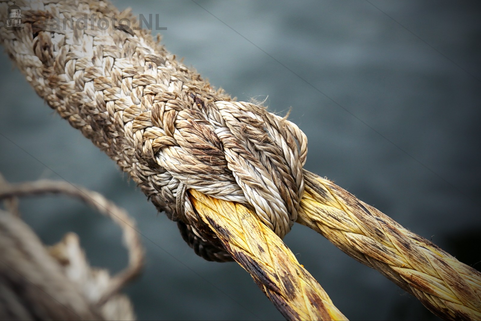 Mooring #043