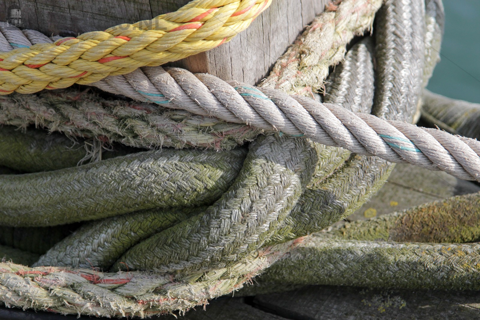 Mooring #030