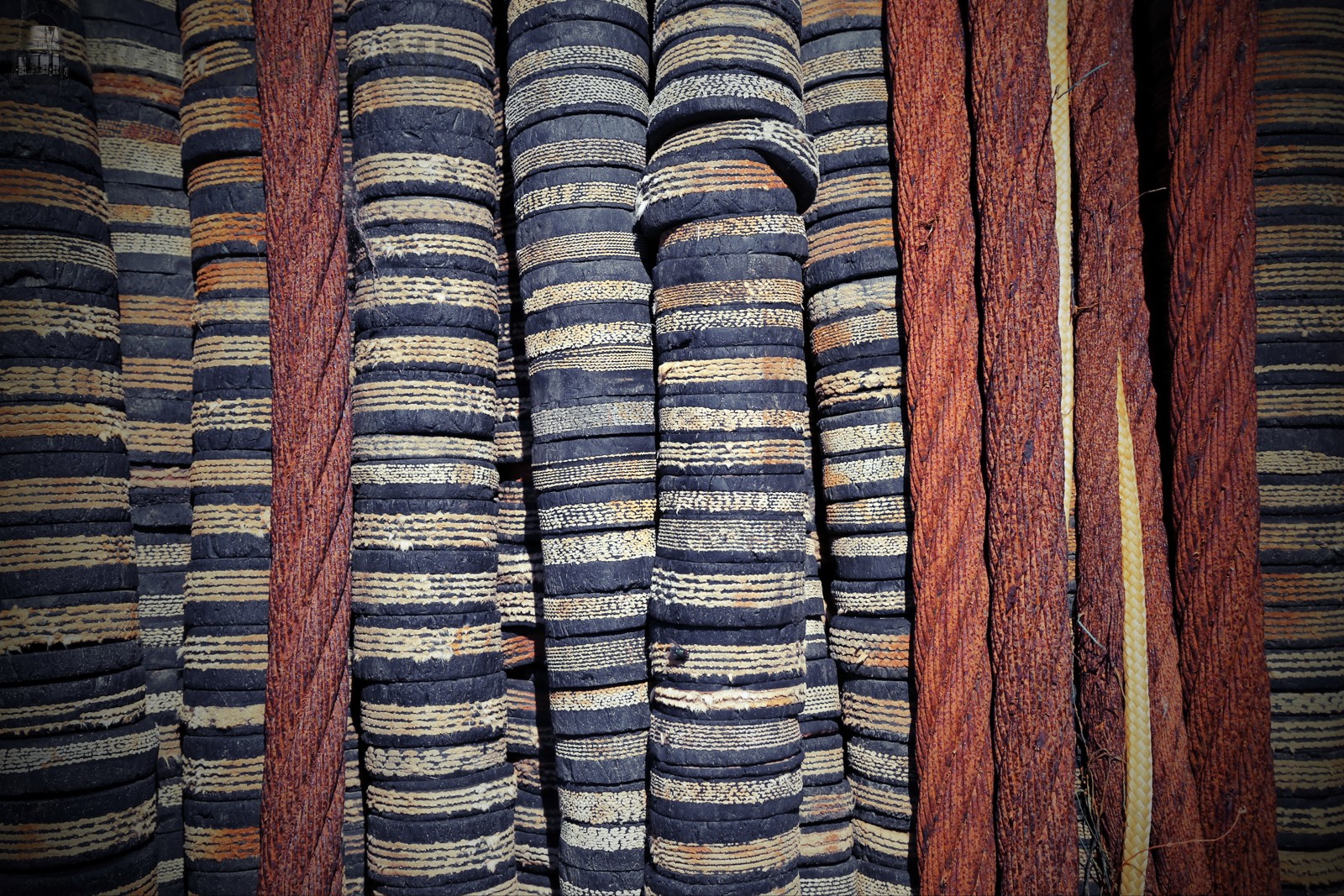 Vistuig