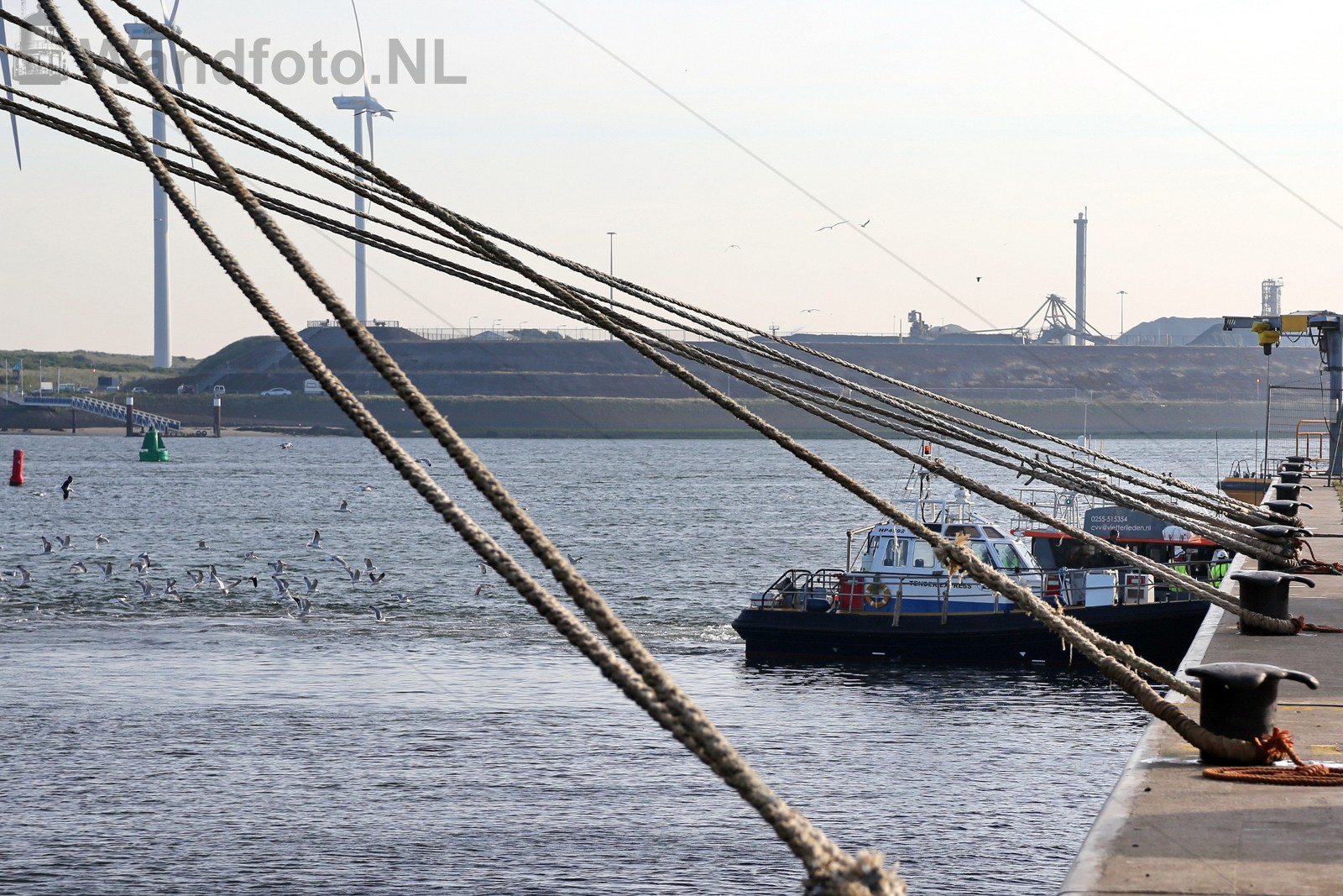 Felison Cruise Terminal