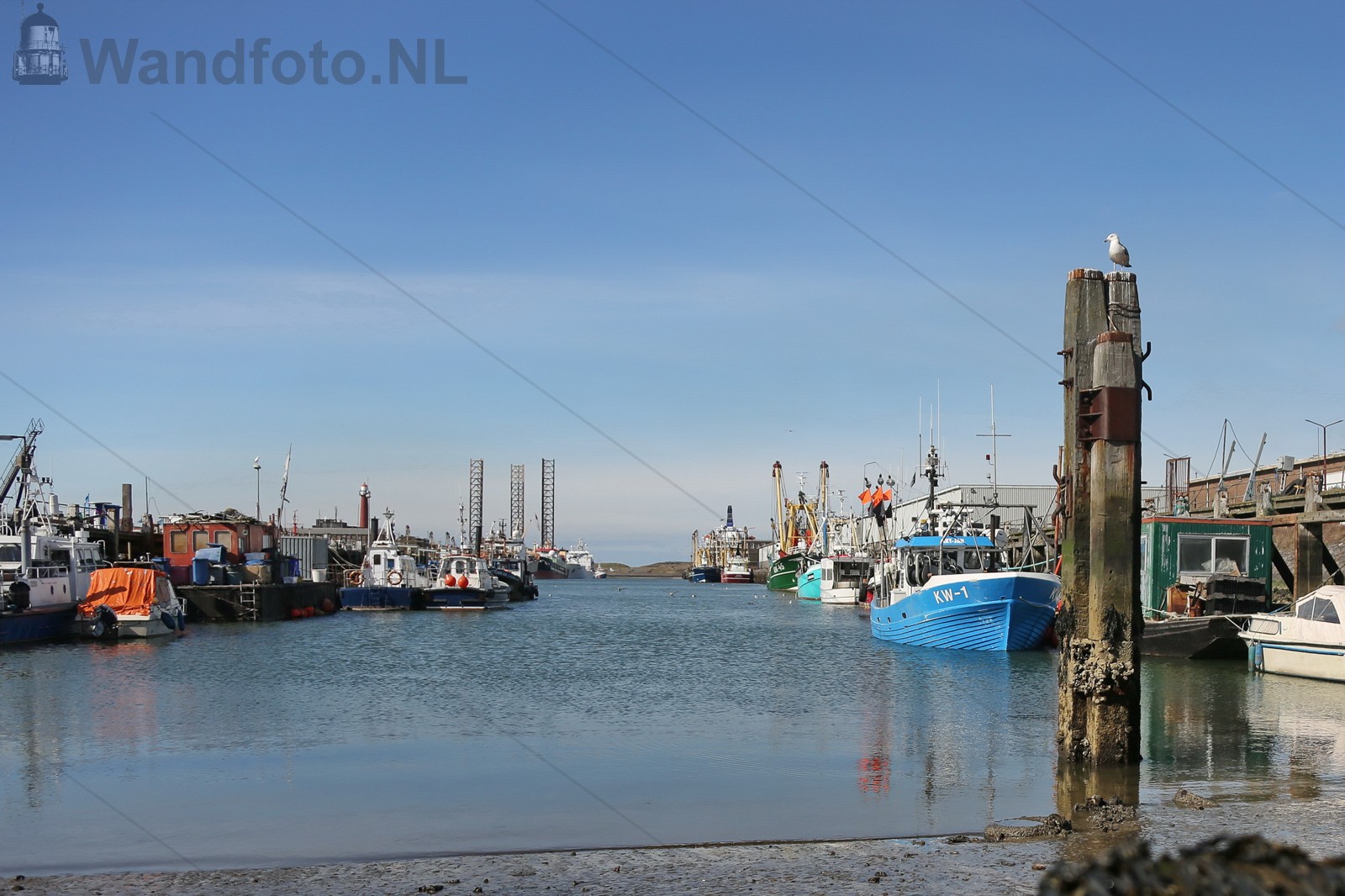 Vissershaven,Laag water in de Volendamse Hoek
