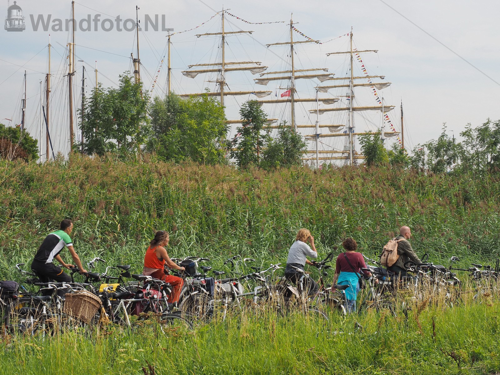Amsterdamseweg, Velsen-Zuid | Kvl 150819 1241520w.jpg | FotoKv