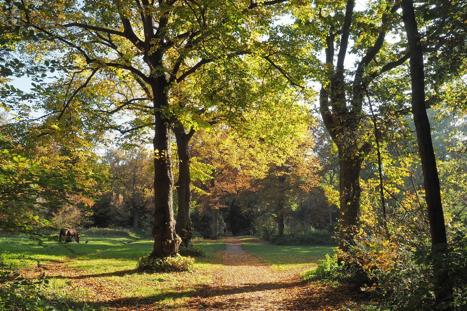 Herfst