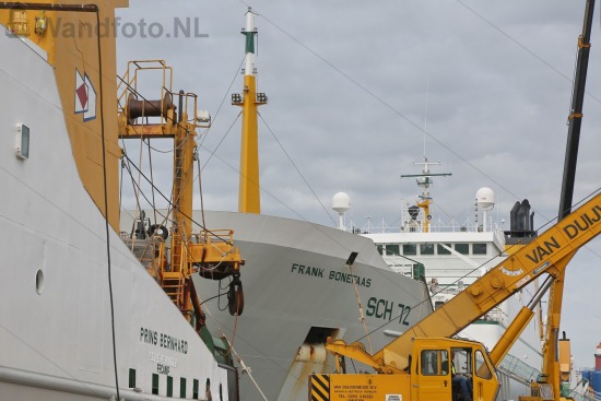 Hektrawlers in de Haringhaven