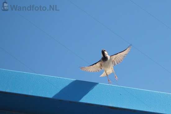 Paviljoen Noordzee