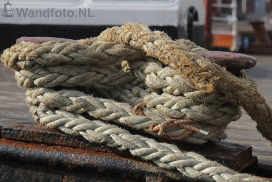 Tweede Haven